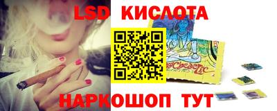 метадон Сланцы