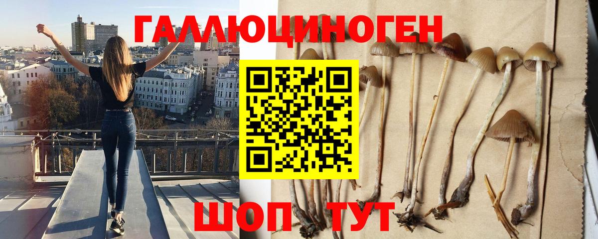 Галлюциногенные грибы мухоморы  Псилоцибиновые грибы мухоморы  Орск  Вход с VPN 